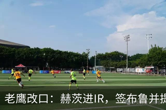 老鹰改口：赫茨进IR，签布鲁并提拔两人