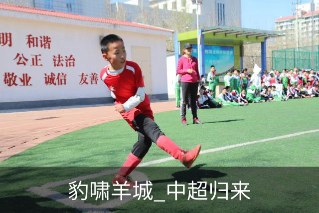 豹啸羊城 中超归来